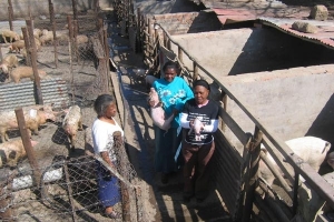 Youth Enterprise Development Programme